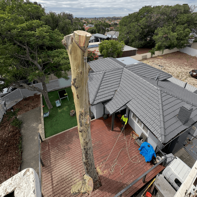 Tree cutting service