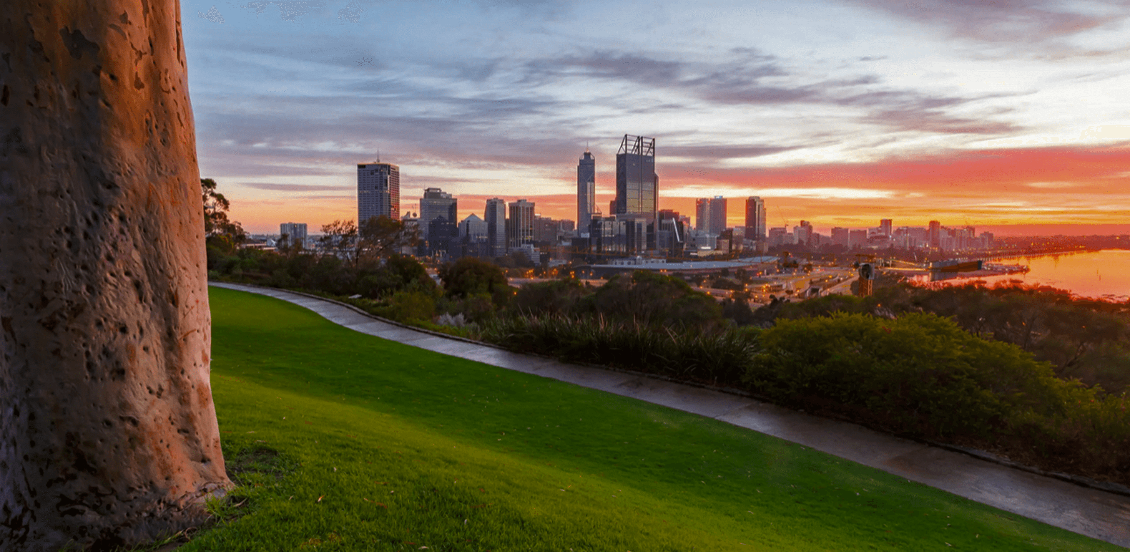 Hills Tree Solutions - Professional Tree Services